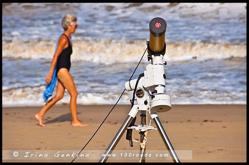 Пальмовая Бухта, Палм Ков, Palm Cove, Queensland, Квинсленд, QLD, Австралия, Australia