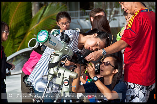 Полное солнечное затмение, Cairns Eclipse 2012, Palm Cove, Queensland, Квинсленд, QLD, Австралия, Australia