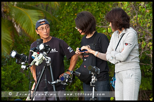 Полное солнечное затмение, Cairns Eclipse 2012, Palm Cove, Queensland, Квинсленд, QLD, Австралия, Australia