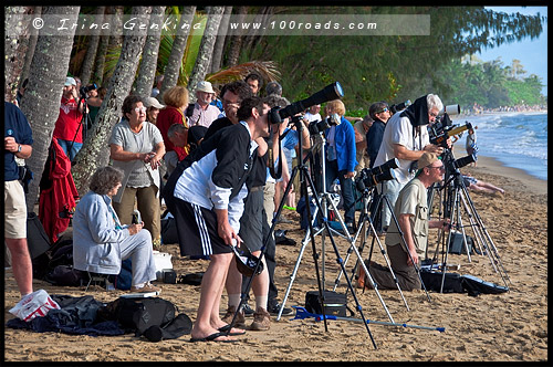 Полное солнечное затмение, Cairns Eclipse 2012, Palm Cove, Queensland, Квинсленд, QLD, Австралия, Australia