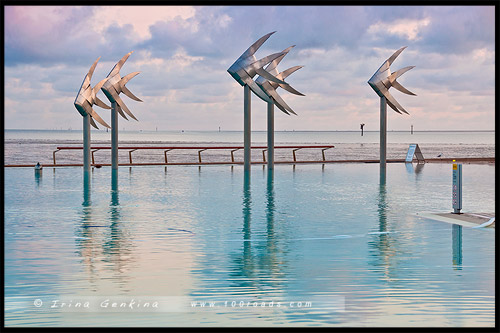 Набережная Кэрнса, Cairns Esplanade, Кэрнс, Cairns, Queensland, Квинсленд, QLD, Австралия, Australia