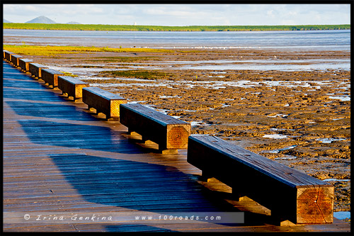 Набережная Кэрнса, Cairns Esplanade, Кэрнс, Cairns, Queensland, Квинсленд, QLD, Австралия, Australia