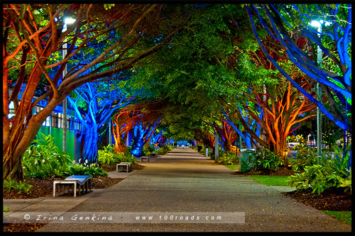 Набережная Кэрнса, Cairns Esplanade, Кэрнс, Cairns, Queensland, Квинсленд, QLD, Австралия, Australia