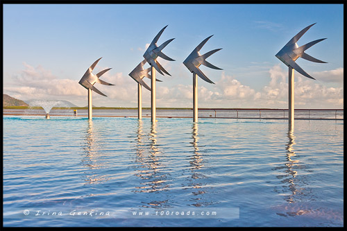 Набережная Кэрнса, Cairns Esplanade, Кэрнс, Cairns, Queensland, Квинсленд, QLD, Австралия, Australia