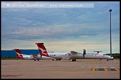 Общественный транспорт, public transport, Cairns, Palm Cove, Queensland, Квинсленд, QLD, Австралия, Australia