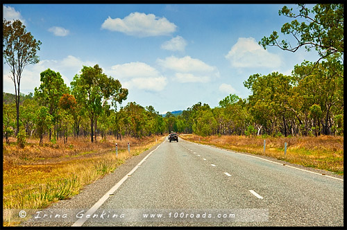 Трасса Кенеди, Kennedy Hwy, Queensland, Квинсленд, QLD, Австралия, Australia