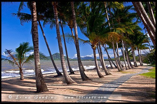 Пальмовая бухта, Палм Ков, Palm Cove, Queensland, Квинсленд, QLD, Австралия, Australia