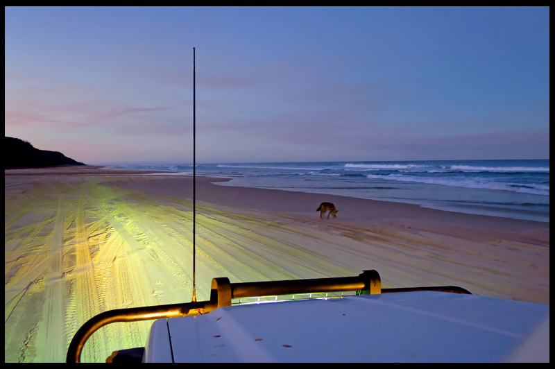 Остров Фрейзер, Fraser Island, Квинсленд, Queensland, Австралия, Australia