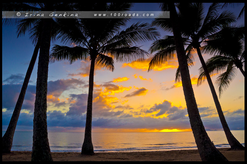 Пальмовая Бухта, Палм Ков, Palm Cove, Queensland, Квинсленд, QLD, Австралия, Australia