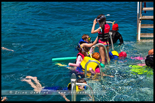 Большой Барьерный Риф, Great Barrier Reef, Queensland, Квинсленд, QLD, Австралия, Australia