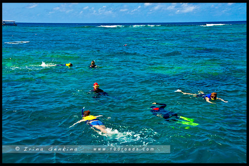 Большой Барьерный Риф, Great Barrier Reef, Queensland, Квинсленд, QLD, Австралия, Australia