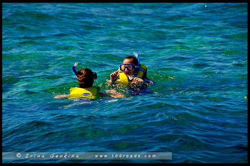 Большой Барьерный Риф, Great Barrier Reef, Queensland, Квинсленд, QLD, Австралия, Australia