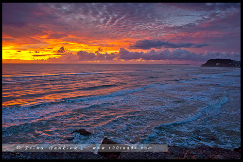 Золотое побережье, Gold Coast, Квинсленд, Queensland, Австралия, Australia