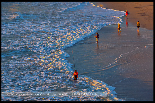 Золотое побережье, Gold Coast, Квинсленд, Queensland, Австралия, Australia