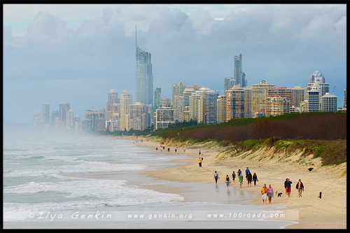 Золотое побережье, Gold Coast, Квинсленд, Queensland, Австралия, Australia