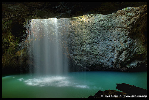 Национальный парк Спрингбрук, Springbrook National Park, Золотое побережье, Gold Coast, Квинсленд, Queensland, Австралия, Australia