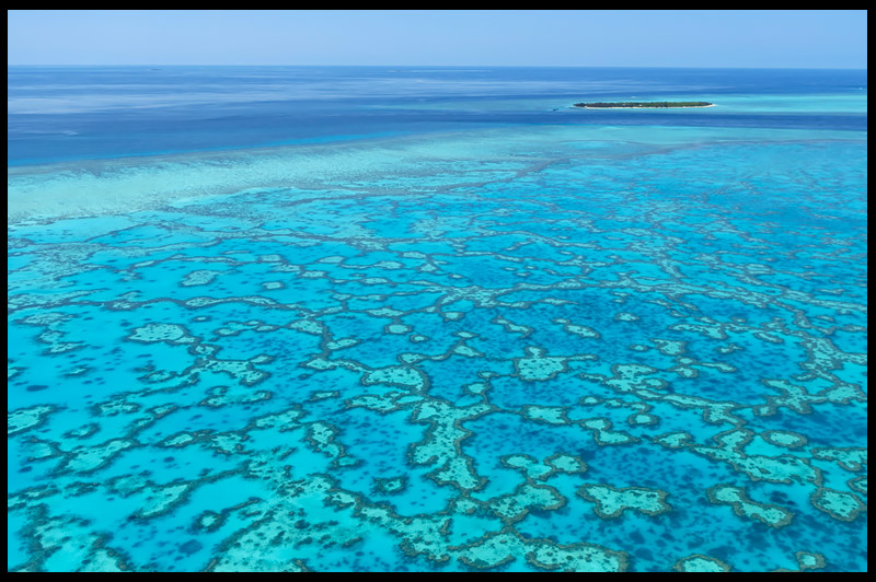 Остров Херон, Heron Island, Квинсленд, Queensland, Австралия, Australia