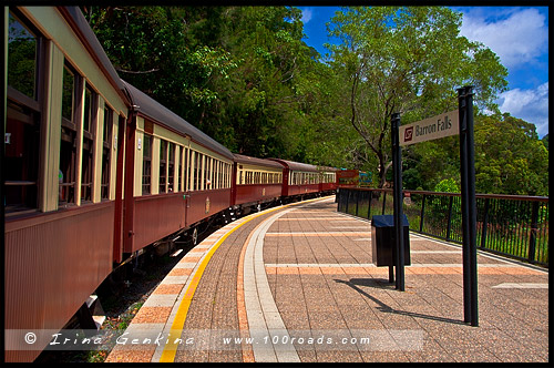 Куранда, Kuranda, Queensland, Квинсленд, QLD, Австралия, Australia