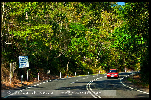 Куранда, Kuranda, Queensland, Квинсленд, QLD, Австралия, Australia