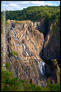 Куранда, Kuranda, Queensland, Квинсленд, QLD, Австралия, Australia