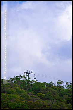 Куранда, Kuranda, Queensland, Квинсленд, QLD, Австралия, Australia