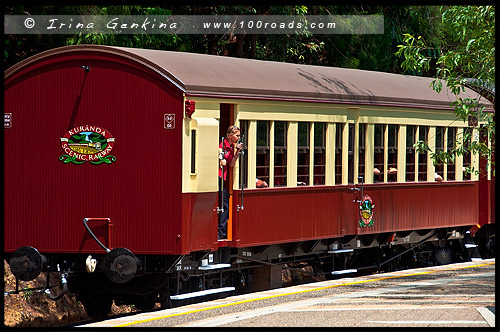 Куранда, Kuranda, Queensland, Квинсленд, QLD, Австралия, Australia