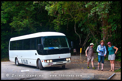 Ущелье Моссман, Mossman Gorge, Queensland, Квинсленд, QLD, Австралия, Australia