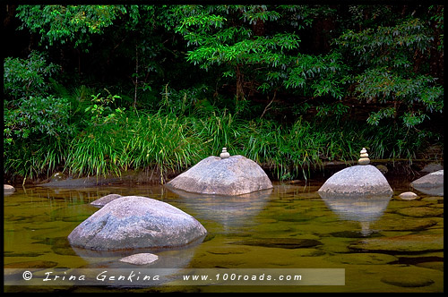 Ущелье Моссман, Mossman Gorge, Национальный парк Дейнтри, Daintree National Park, Queensland, Квинсленд, QLD, Австралия, Australia