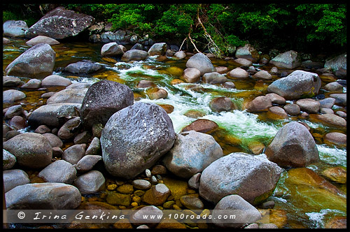 Ущелье Моссман, Mossman Gorge, Queensland, Квинсленд, QLD, Австралия, Australia