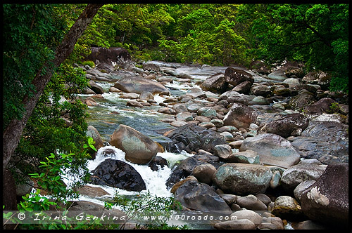 Ущелье Моссман, Mossman Gorge, Queensland, Квинсленд, QLD, Австралия, Australia