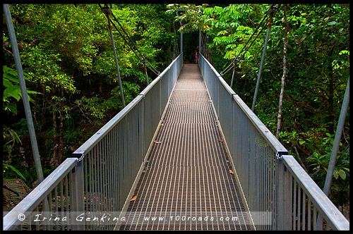 Ущелье Моссман, Mossman Gorge, Queensland, Квинсленд, QLD, Австралия, Australia