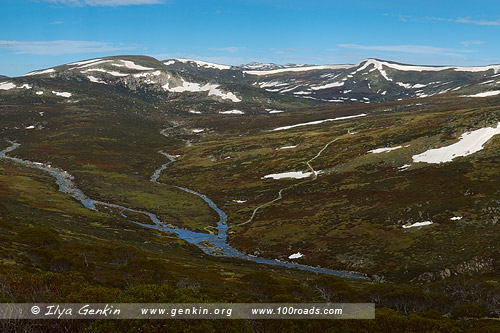 Снежные горы, Snowy Mountains, Австралия, Australia