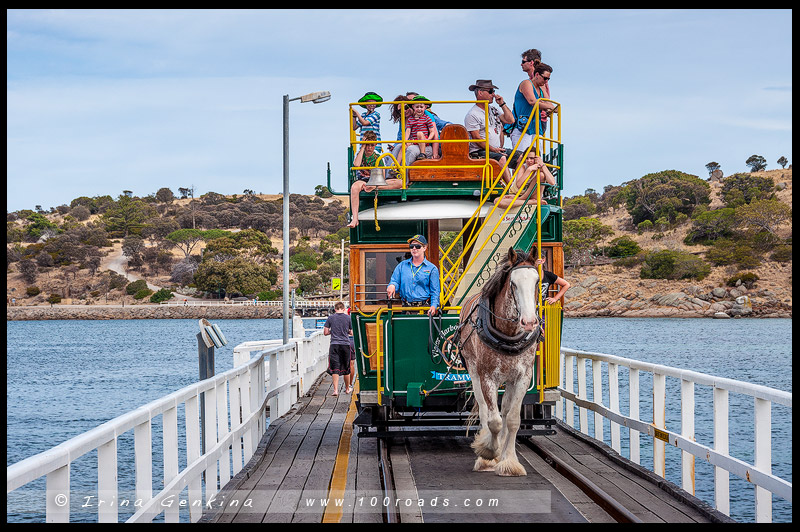 Виктор Харбор, Victor Harbor, Южная Австралия, South Australia, Австралия, Australia