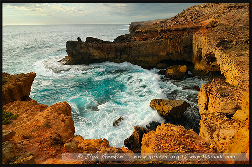 Мыс Бауер, Cape Bauer, Стрики Бей, Streaky Bay, Полуостров Эйр, Eyre Peninsula, Южная Australia, South Australia, Австралия, Australia