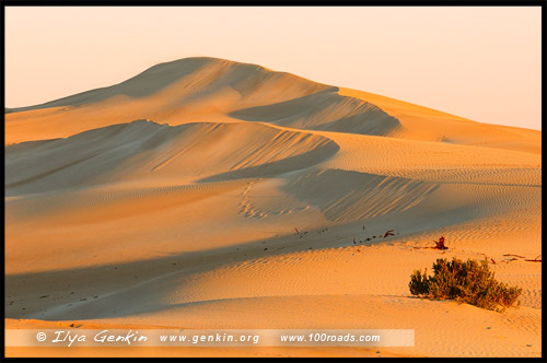 Дюны, Coffin Bay Dunes, Коффин-Бей, Coffin Bay, Полуостров Айри, Eyre Peninsula, Южная Australia, South Australia, Австралия, Australia