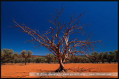 Горная цепь Гавлер, Gawler Ranges, Полуостров Эйр, Eyre Peninsula, Южная Australia, South Australia, Австралия, Australia