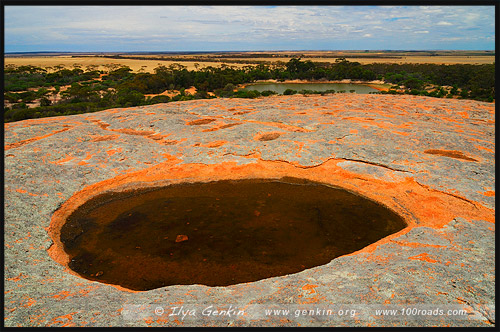 Скала Полда, Polda Rock, Полуостров Эйр, Eyre Peninsula, Южная Australia, South Australia, Австралия, Australia