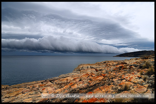 Fenchman's Rocks, Полуостров Эйр, Eyre Peninsula, Южная Australia, South Australia, Австралия, Australia