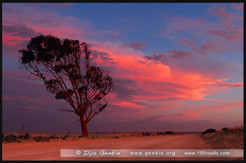 Мыс Бауер, Cape Bauer, Стрики Бей, Streaky Bay, Полуостров Эйр, Eyre Peninsula, Южная Australia, South Australia, Австралия, Australia