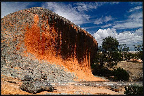 Холм Уконтитчи, Ucontitchie Hill, Полуостров Эйр, Eyre Peninsula, Южная Australia, South Australia, Австралия, Australia