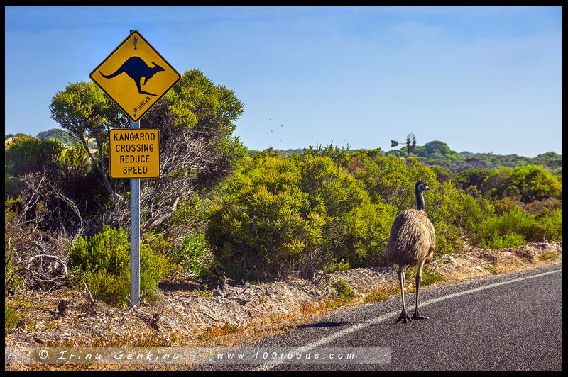 Национальный парк Иннес, Innes National Park, Полуостров Йорк, Yorke Peninsula, Южная Австралия, South Australia, Австралия, Australia