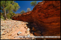 Охровая стена, Ochre Wall, Аркарула, Arkaroola, Северная цепь гор Флиндерс, Northern Flinders Ranges, Аутбек, Аутбэк, Outback, Южная Australia, South Australia, Австралия, Australia