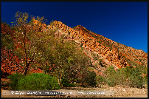 Ущелье Брачина, Brachina Gorge, Северная цепь гор Флиндерс, Northern Flinders Ranges, Аутбек, Аутбэк, Outback, Южная Australia, South Australia, Австралия, Australia