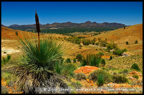 Hucks Lookout, Вилпена Поунд, Wilpena Pound, Северная цепь гор Флиндерс, Northern Flinders Ranges, Аутбек, Аутбэк, Outback, Южная Australia, South Australia, Австралия, Australia