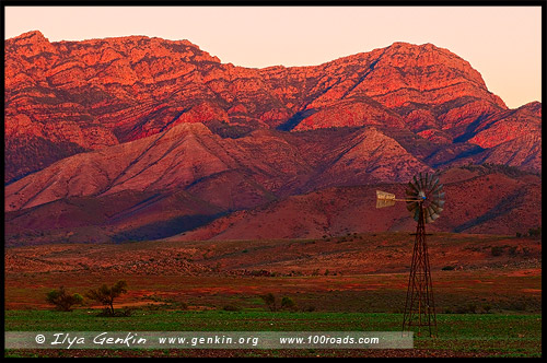 Moralana Scenic Drive, Северная цепь гор Флиндерс, Northern Flinders Ranges, Аутбек, Аутбэк, Outback, Южная Australia, South Australia, Австралия, Australia