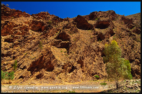 Священный каньон, Sacred Canyon, Северная цепь гор Флиндерс, Northern Flinders Ranges, Аутбек, Аутбэк, Outback, Южная Australia, South Australia, Австралия, Australia