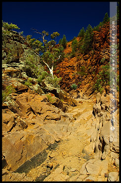 Священный каньон, Sacred Canyon, Северная цепь гор Флиндерс, Northern Flinders Ranges, Аутбек, Аутбэк, Outback, Южная Australia, South Australia, Австралия, Australia