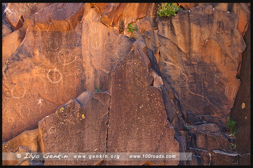 Накскальные рисунки, Священный каньон, Sacred Canyon, Северная цепь гор Флиндерс, Northern Flinders Ranges, Аутбек, Аутбэк, Outback, Южная Australia, South Australia, Австралия, Australia