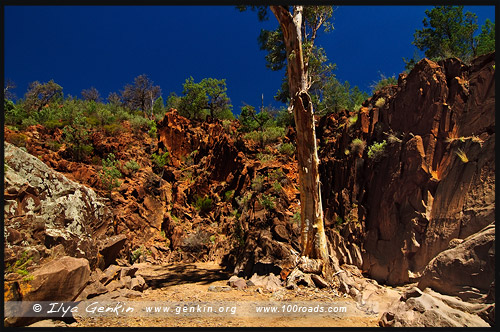 Священный каньон, Sacred Canyon, Северная цепь гор Флиндерс, Northern Flinders Ranges, Аутбек, Аутбэк, Outback, Южная Australia, South Australia, Австралия, Australia