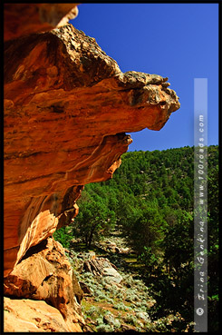 Пещера Йорамбулла, Yourambulla Caves, Северная цепь гор Флиндерс, Northern Flinders Ranges, Аутбек, Аутбэк, Outback, Южная Australia, South Australia, Австралия, Australia Пещера Йорамбулла, Yourambulla Caves, Северная цепь гор Флиндерс, Northern Flinders Ranges, Аутбек, Аутбэк, Outback, Южная Australia, South Australia, Австралия, Australia